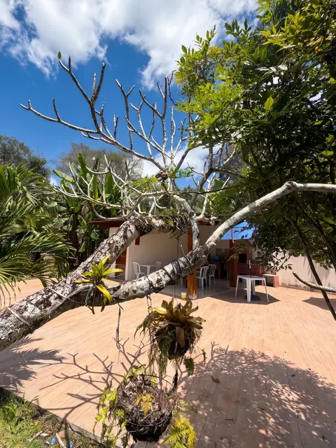 Jardim com árvores e plantas sob céu azul